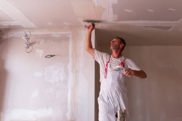 Professional Dry wall and painting in Valley Center, CA